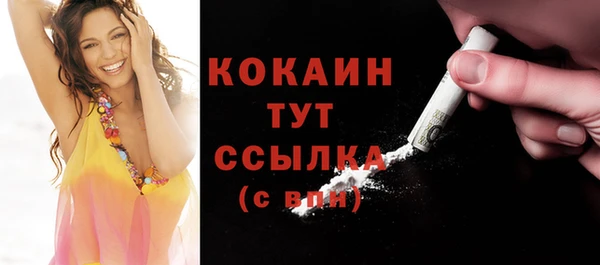 гашик Сатка