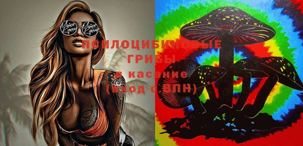 скорость Баксан