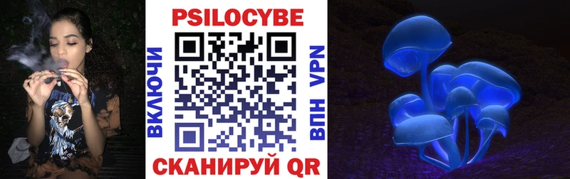 купить сайты Чулым Псилоцибиновые грибы мицелий